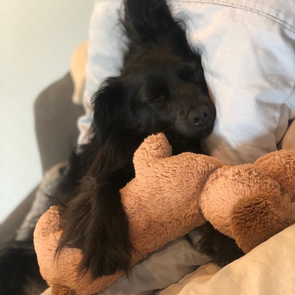 Meet your Posher, Natalia - Picture 4 of 5